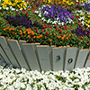 Ellerslie Flower Show 2014