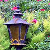 Outdoor Garden Lamp
