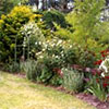 Garden Lawn Rose Arch