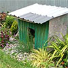 Rockery by Dog Kennel