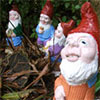 Regarding Garden Gnomes