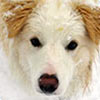 The short and sweet snow storm...