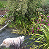 Garden-proud or House-proud?
