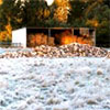 Frost on the Paddock