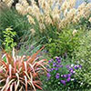 Early Stables Garden Grasses