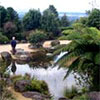 Mount Tomah Botanic Gardens