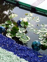 glass-garden