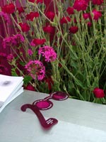 purple-plants