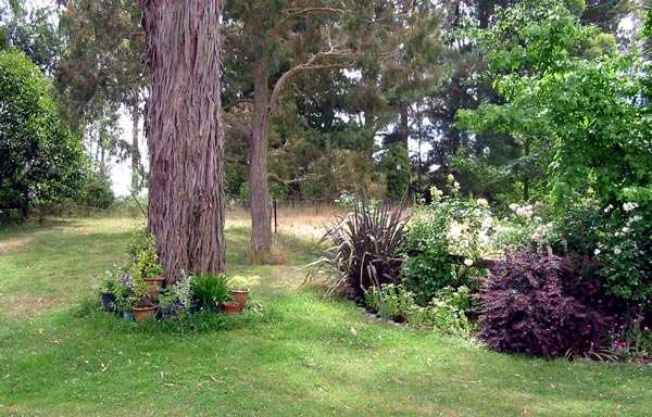 In 2003 the garden was just getting properly organised! In 2003 the garden was just getting properly organised!
