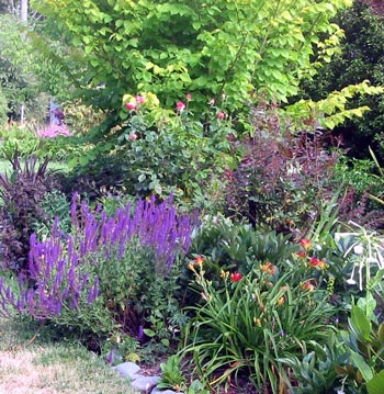  This is the mixed border by Middle Path. 