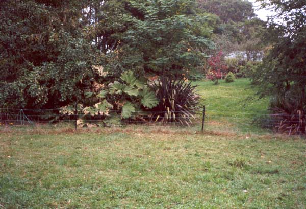  The sheep paddock is mainly used for drafting. 